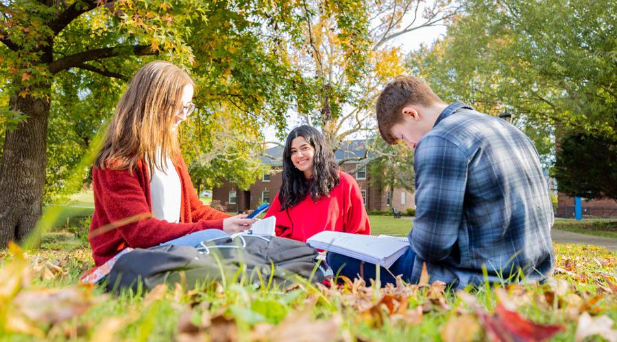 Students sitting on the lawn and studying